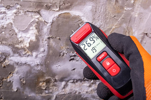 Best Post-Flood Mold Remediation in Hamilton College, NY