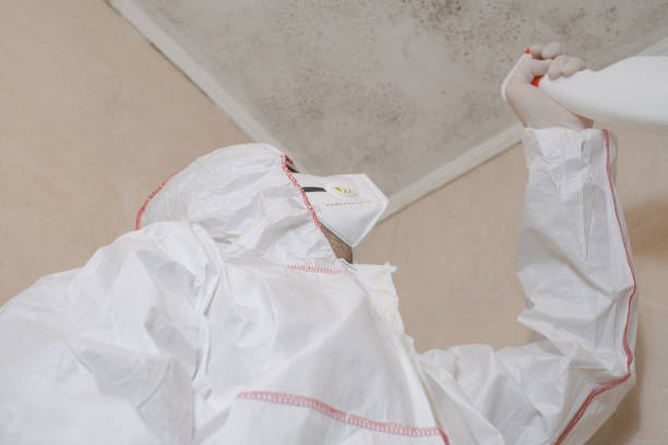 Best White Mold Remediation in Hamilton College, NY