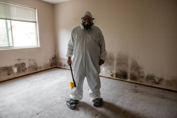 Best Emergency Mold Remediation in Hamilton College, NY